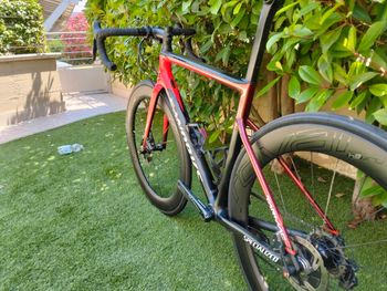 Used Specialized Tarmac Shimano Ultegra Di2 2020 Road & Gravel, Red — image 7 of 12