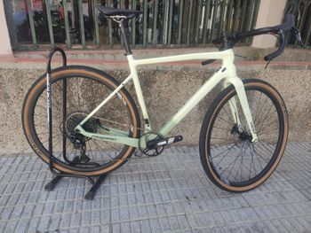 Megamo, WEST 10 2024