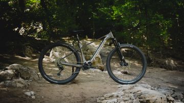 Used Orbea URRUN 20 20mph 2025 2025 Mountainbike, Light Gray, 29 — image 1 of 4