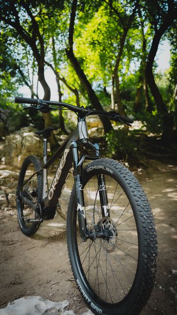 Used Orbea URRUN 20 20mph 2025 2025 Mountainbike, Light Gray, 29 — image 3 of 4