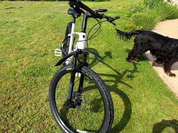 Used Trek X-Caliber 8 2022 2022 Mountainbike, White, 27.5, 29 — image 8 of 8