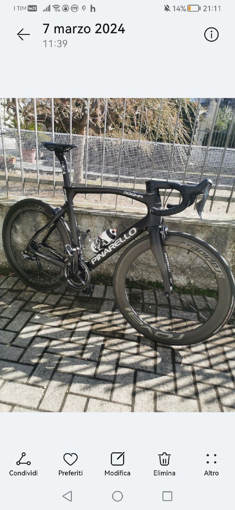 Used Pinarello Dogma F 12 2019 2020 Road & Gravel