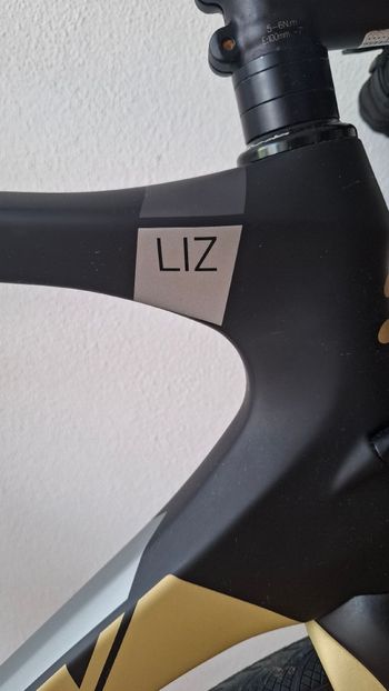 Used Ridley Liz Shimano Ultegra 2020 Road & Gravel, Black — image 4 of 14