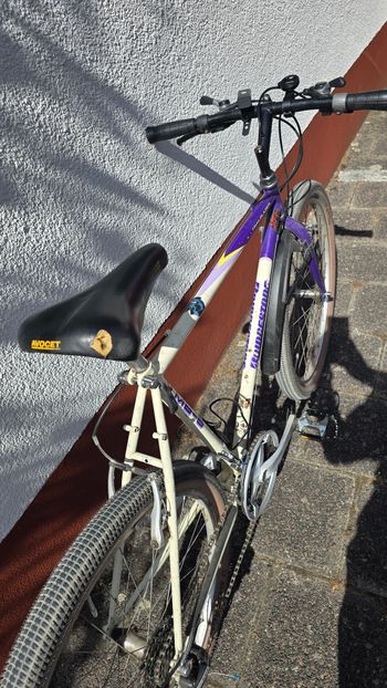 Used Bridgestone MB 6 1990 Mountainbike, White — image 9 of 12