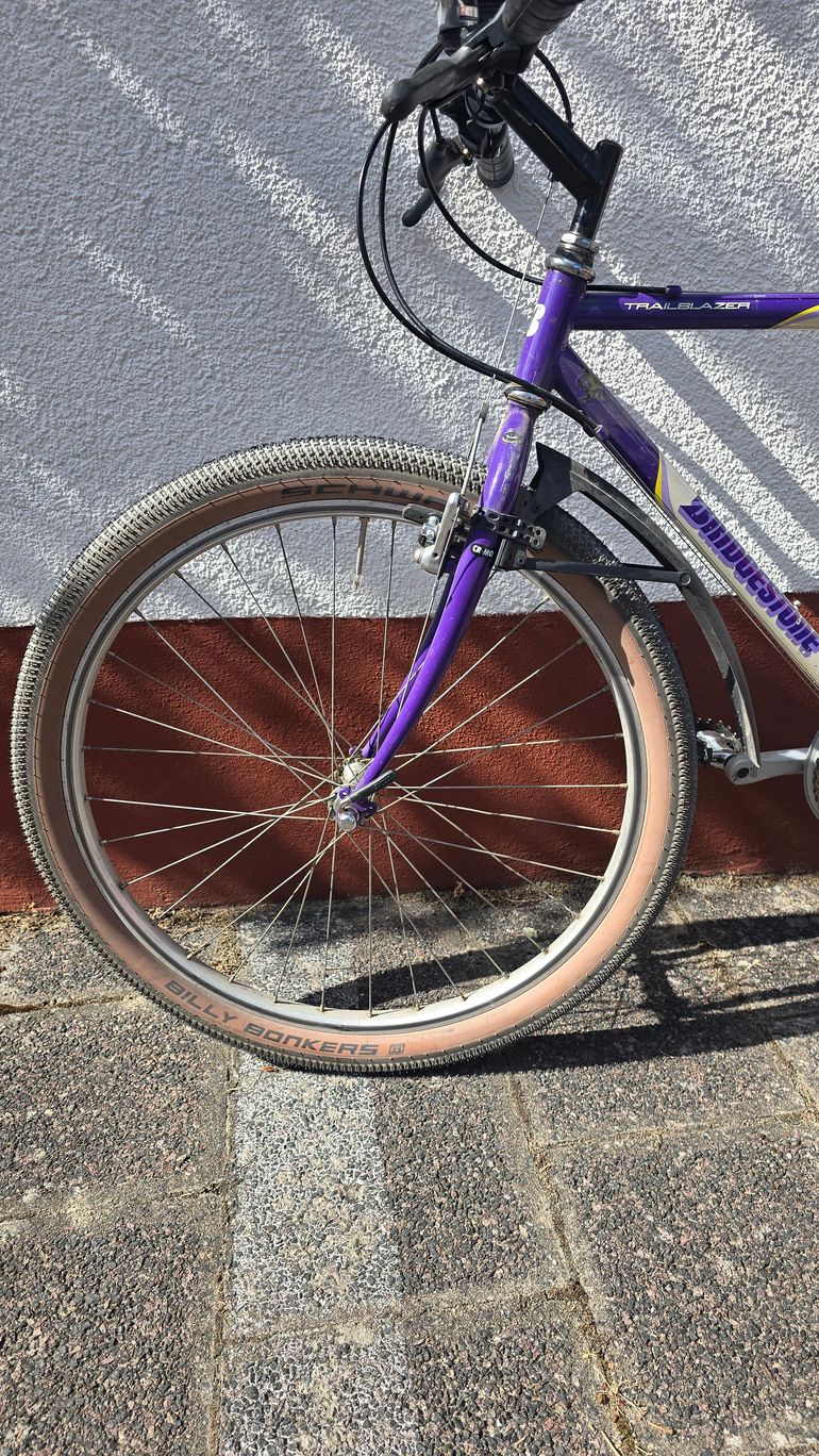 Used Bridgestone MB 6 1990 Mountainbike, White — image 3 of 12