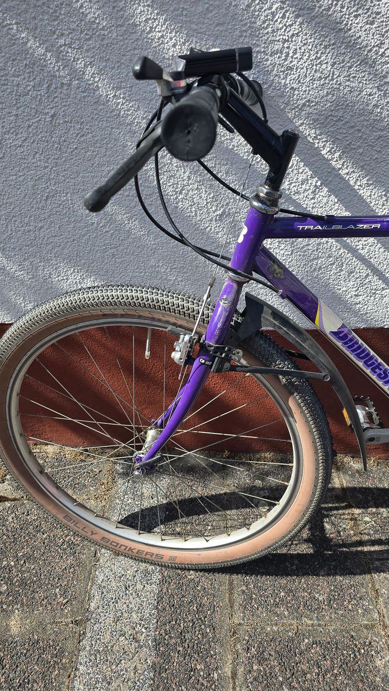 Used Bridgestone MB 6 1990 Mountainbike, White — image 2 of 12