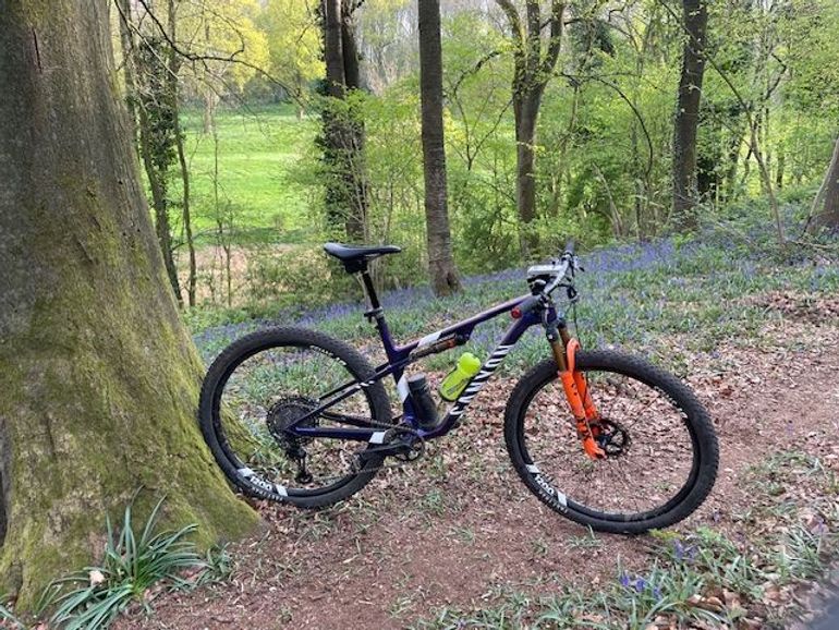 Brugt Canyon Lux World Cup CFR Team 2024 2024 Mountainbike — billede 18 af 18
