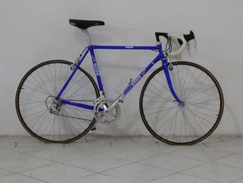 Gios, Evolution