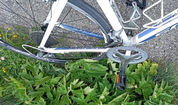 Used Scott Contessa 2015 Road & Gravel, White — image 5 of 5
