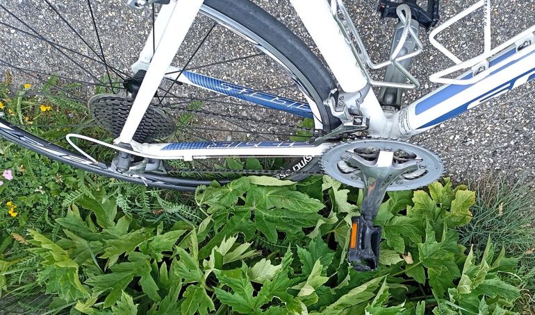 Used Scott Contessa 2015 Road & Gravel, White — image 5 of 5