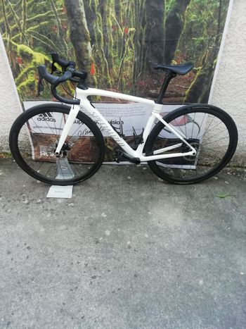 Used Specialized Roubaix Pro 2021 2021 Road & Gravel, White — image 1 of 3