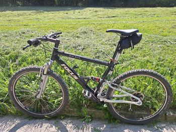 Used Focus Big Bud 2007 MTB