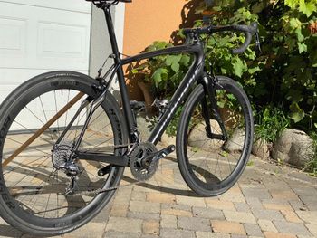 Used Specialized Roubaix SL4 Pro Race 2014 2014 Road & Gravel