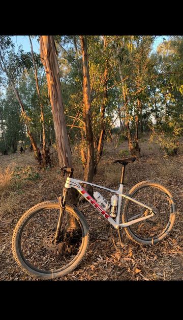 Used Trek X-Caliber 8 2022 2022 Mountainbike, White, 27.5, 29 — image 1 of 6