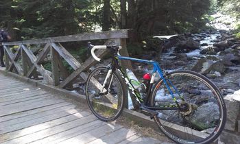 Used Scott Team Issue 2015 Corsa & gravel