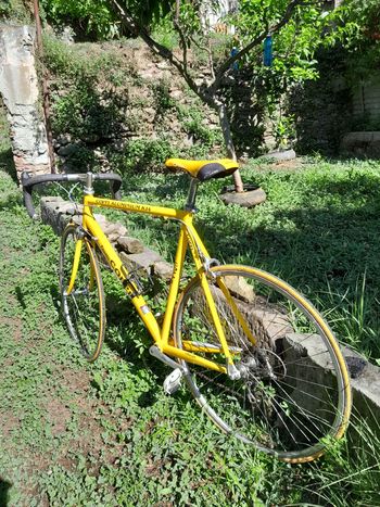 Used Fausto Coppi K14 1986 Road & Gravel, White — image 8 of 14
