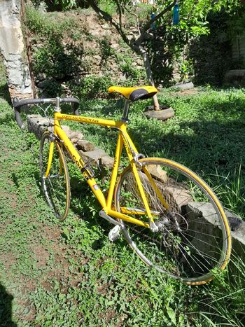 Used Fausto Coppi K14 1986 Road & Gravel, White — image 12 of 14
