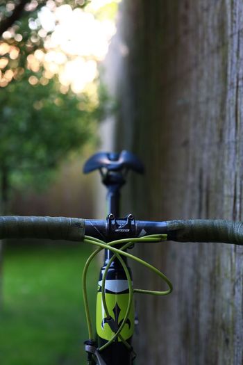 Used Wilier GTR SL 2016 Road & Gravel, Green — image 15 of 20