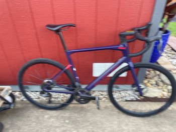 Used BMC Roadmachine 01 AMP THREE 2024 2024 Road & Gravel, Purple — image 1 of 5