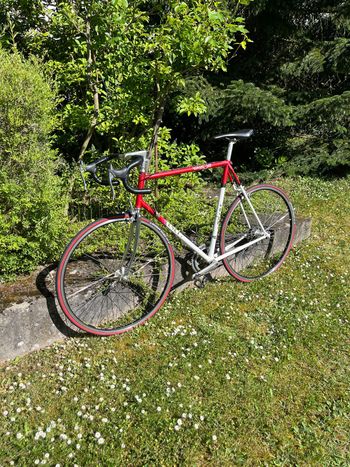 Veneto VonHacht Veneto 1995 Road & Gravel usato, Rosso — immagine 1 di 8