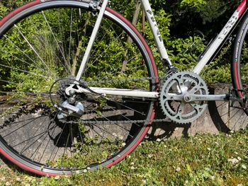 Veneto VonHacht Veneto 1995 Road & Gravel usato, Rosso — immagine 2 di 8