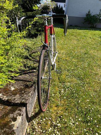 Veneto VonHacht Veneto 1995 Road & Gravel usato, Rosso — immagine 8 di 8