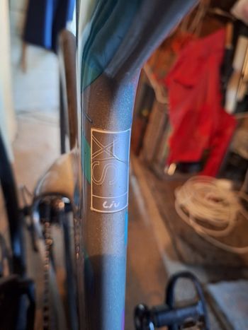 Used Liv Avow Advanced 2019 2019 Road & Gravel, Light Gray — image 7 of 8