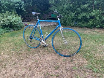 Used Vintage Compte 2000 Road & Gravel, Blue — image 8 of 8