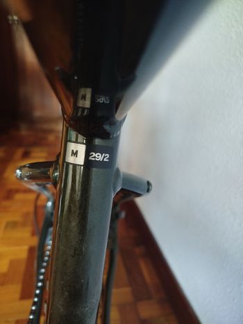 Used Giant Talon 2 2024 2024 Mountainbike, Green, 27.5, 29 — image 5 of 8