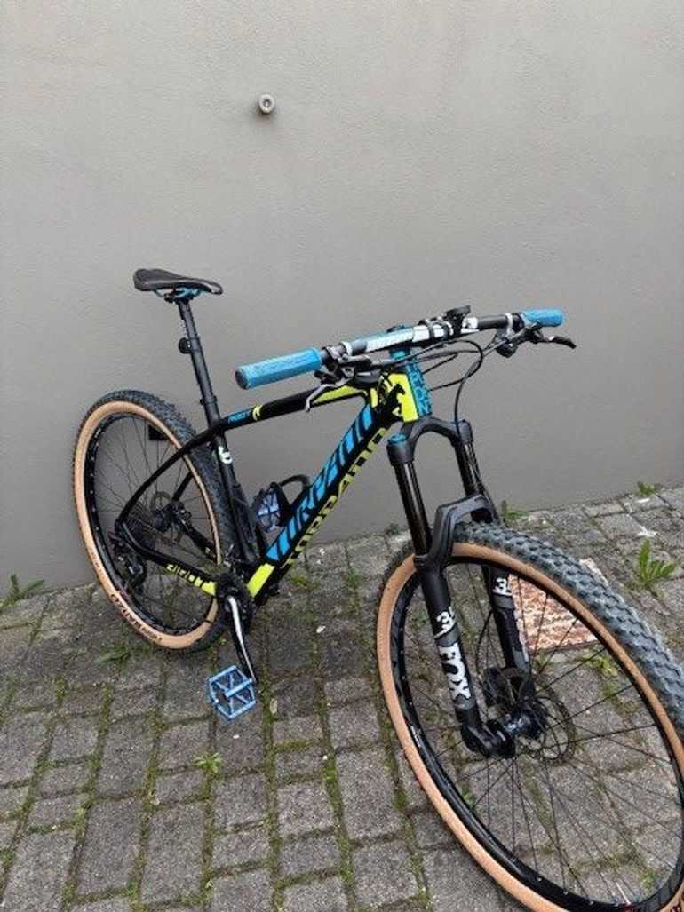 Torpado Ribot N 2021