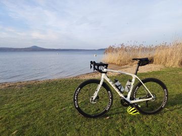 Brugt Trek Domane Shimano Ultegra Di2 2019 Road & Gravel — billede 3 af 3