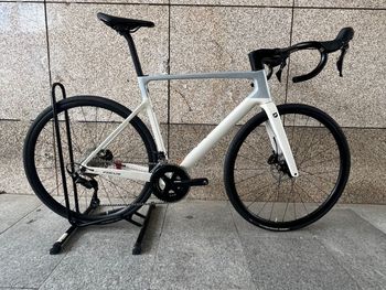 Focus, IZALCO MAX 8.7 2024