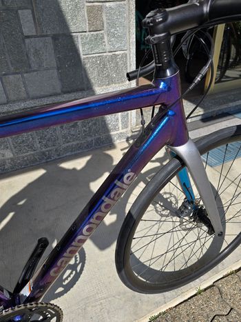 Cannondale, CAAD13 Disc Tiagra 2024