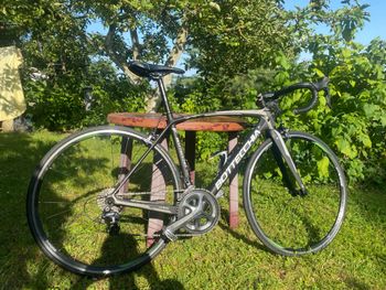 Used Bottecchia Bottecchia 8Avio Revolution 2022 Road & Gravel — image 4 of 11