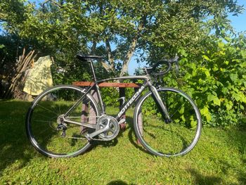 Used Bottecchia Bottecchia 8Avio Revolution 2022 Road & Gravel — image 2 of 11