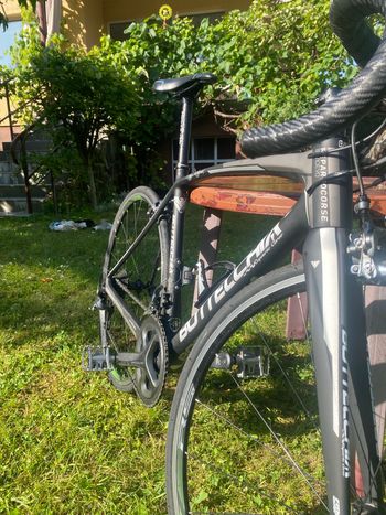 Used Bottecchia Bottecchia 8Avio Revolution 2022 Road & Gravel — image 6 of 11