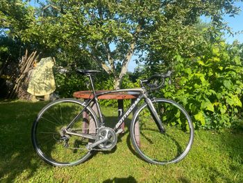 Used Bottecchia Bottecchia 8Avio Revolution 2022 Road & Gravel — image 3 of 11