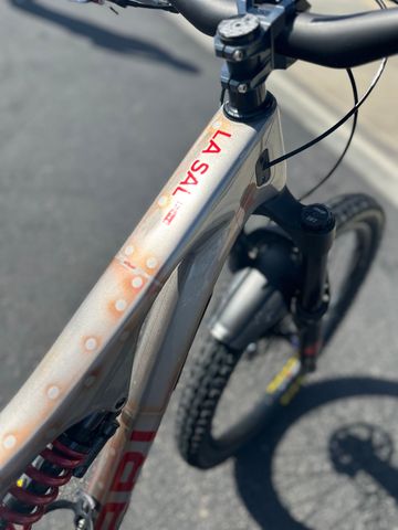 Used Ari La Sal Peak Pro 2024 2024 Mountainbike, Light Gray, 29 — image 10 of 12
