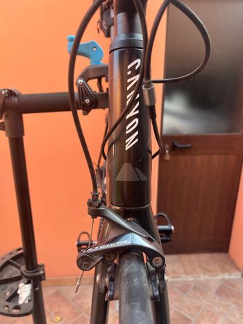 Used Canyon Endurace CF 8.0 2019 2019 Road & Gravel, Black — image 8 of 12