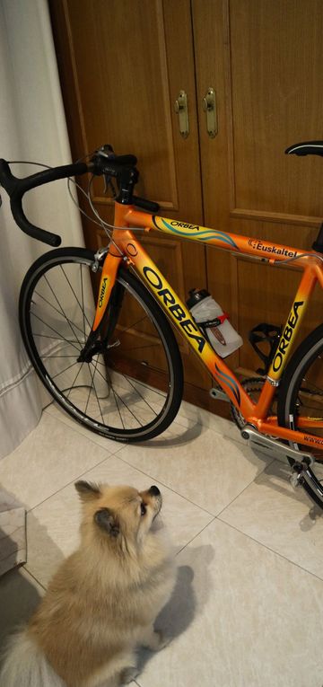 Tweedehands Orbea Euskaltel 2005 Road & Gravel — afbeelding 3 van 5