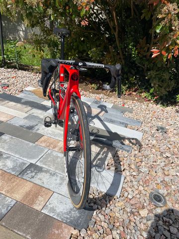 Used De Rosa 70 2024 Road & Gravel, Red — image 2 of 4