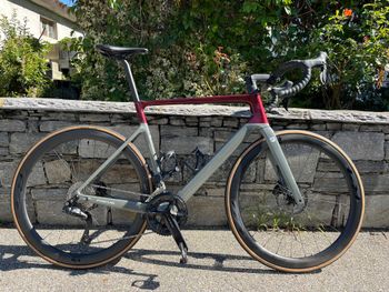 Focus, IZALCO MAX 8.9 2024