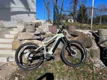 Haibike AllTrail 4 29 2022 2022 Mountainbike d'occasion — image 1 sur 3