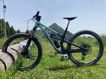 Canyon Spectral 29 CFR 2024 2024 Mountainbike usato, Verde — immagine 3 di 3