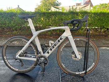 Trek, Madone SLR 6 Disc 2019