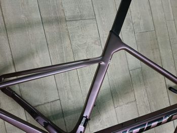 Used Giant Propel Advanced 1 2025 Frameset 2025 Road & Gravel, Black — image 3 of 4