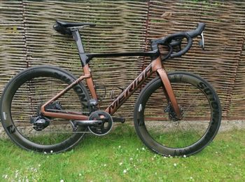 Merida REACTO FORCE-EDITION 2021 2021