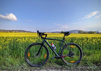 Gebrauchtes Vaast A/1 SRAM Rival 2021 Road & Gravel, Grün — Bild 16 von 18