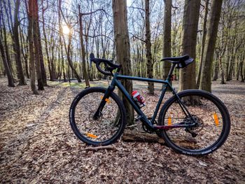 Gebrauchtes Vaast A/1 SRAM Rival 2021 Road & Gravel, Grün — Bild 18 von 18
