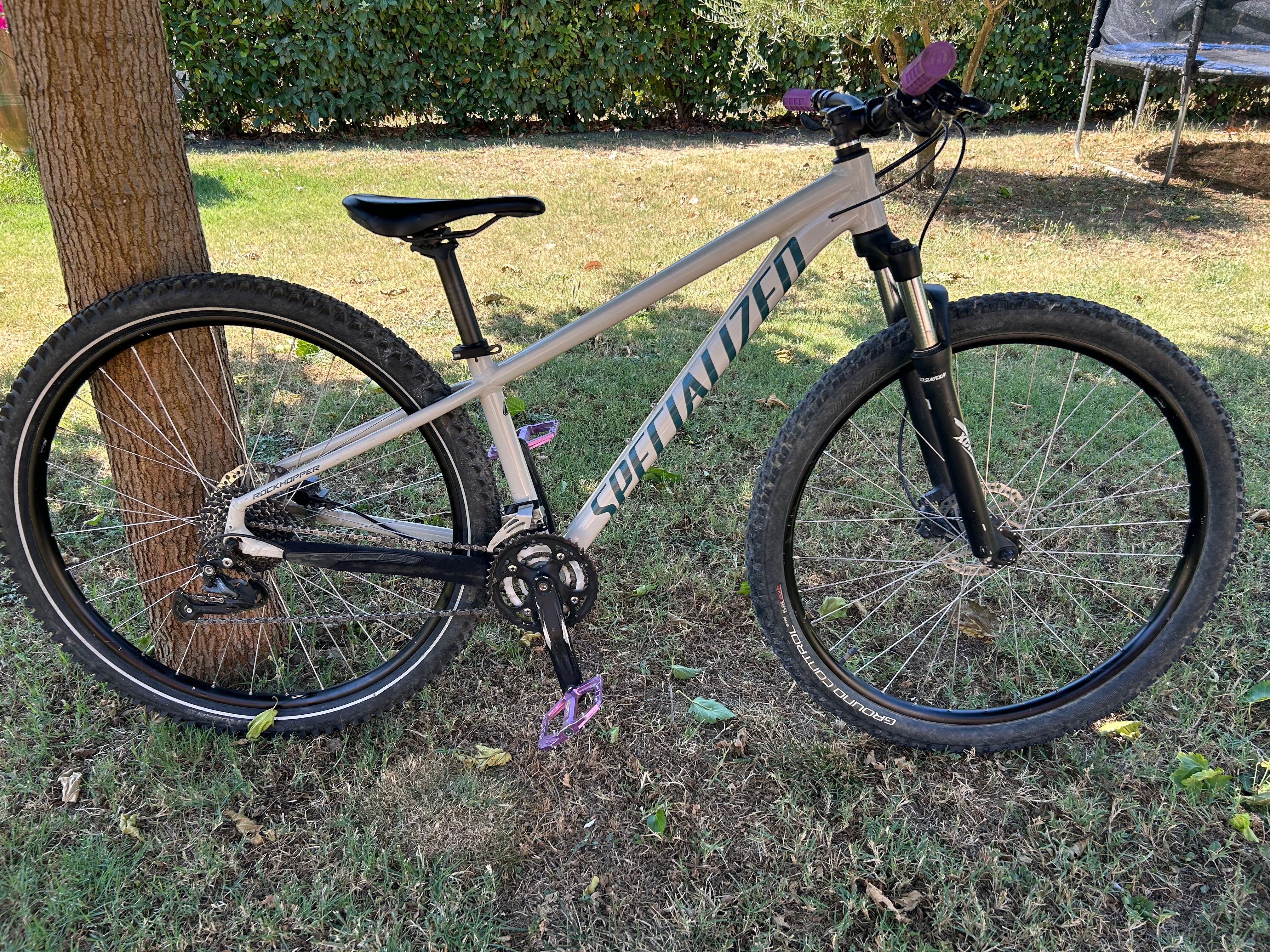 Rockhopper Comp 29 Specialized Hardrock Sport 2018 Specialized